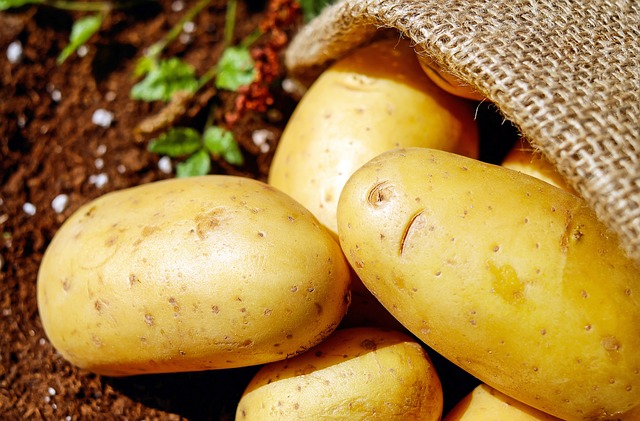 Potato a wealth of benefits.