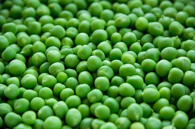 The Pea: its health benefits of Peas, it's cooking